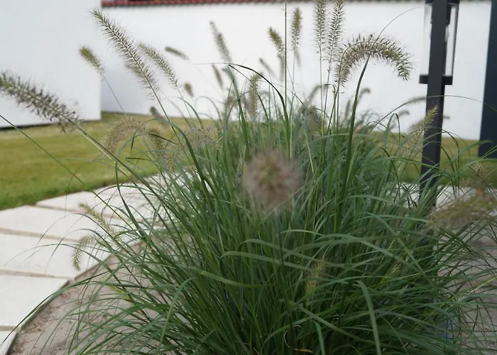 Vega Дом отдыха *